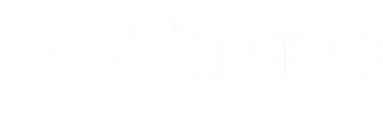 SeaKing Group Logo